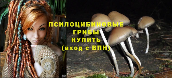 трава Богородицк
