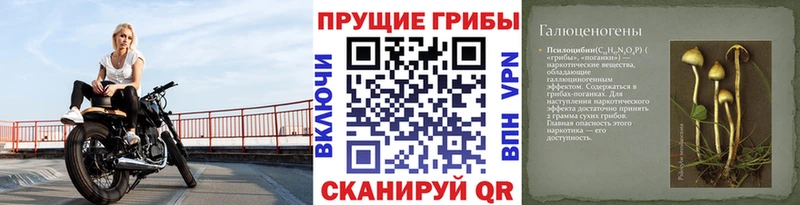 Галлюциногенные грибы ЛСД  купить наркоту  Онега 